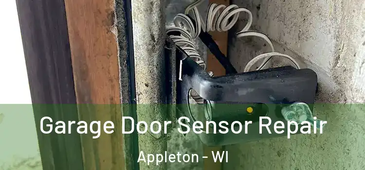 Garage Door Sensor Repair Appleton - WI